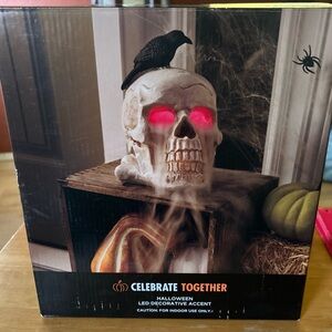 Celebrate Together Halloween LED Decorative Skull Fog New In Box